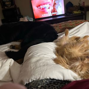 Meet your Posher, Lynn